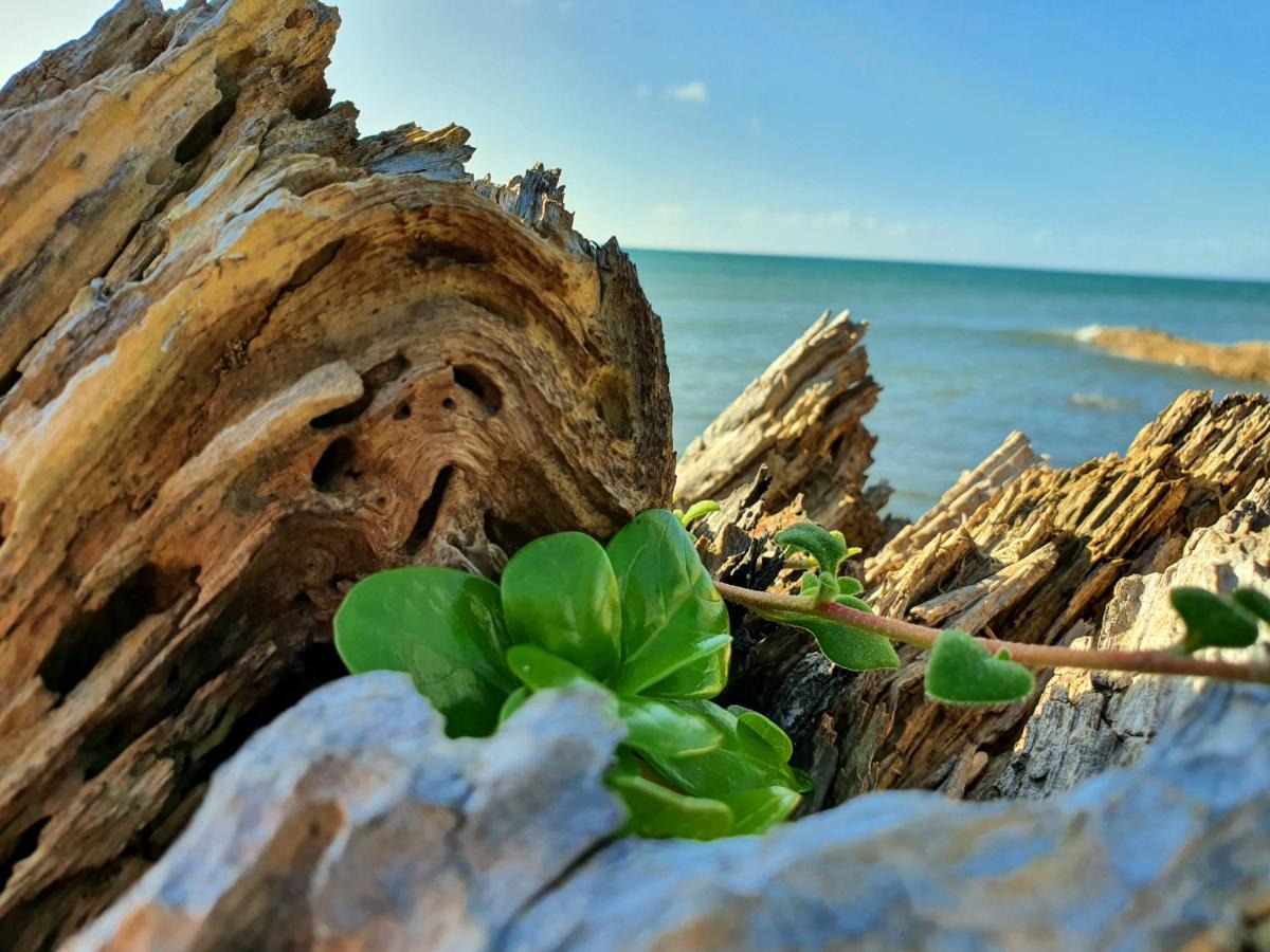 Goat Island Bungalow Ълвърстон Екстериор снимка